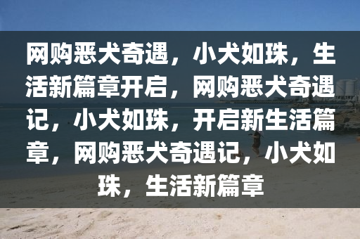 网购恶犬奇遇，小犬如珠，生活新篇章开启，网购恶犬奇遇记，小犬如珠，开启新生活篇章，网购恶犬奇遇记，小犬如珠，生活新篇章2025精准资料大全免费,2025年正版资料免费大全,新澳2025精准正版資料,2025年新澳门天天开好彩,2025新澳门精准免费.