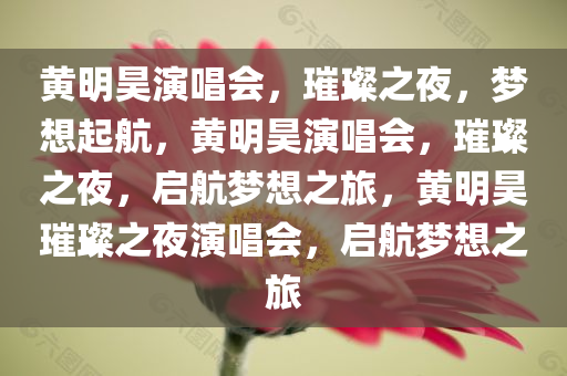 黄明昊演唱会，璀璨之夜，梦想起航，黄明昊演唱会，璀璨之夜，启航梦想之旅，黄明昊璀璨之夜演唱会，启航梦想之旅